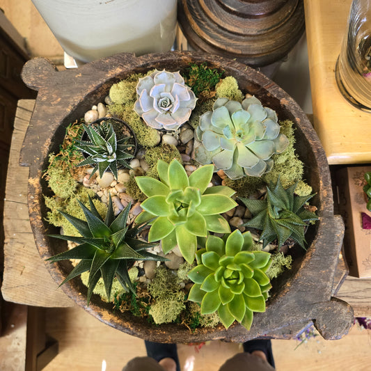 Antique Hand-Made Wooden Plate with Succulents