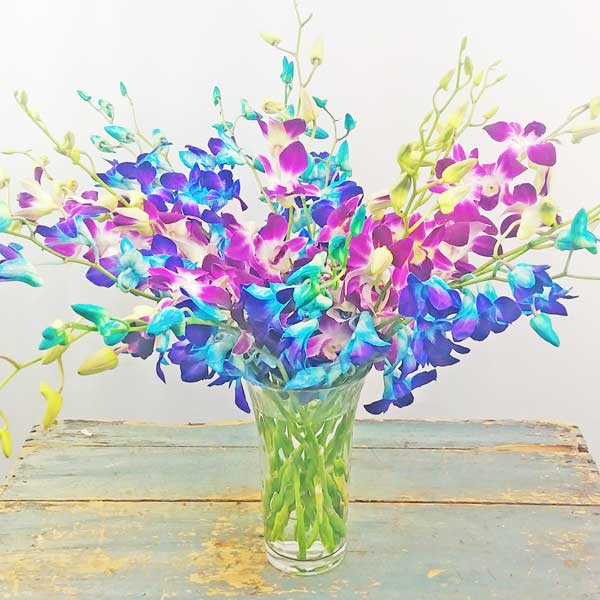 Dendrobium Orchid Bouquet
