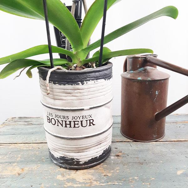 Valentinef Orchid Garden Planter - 1