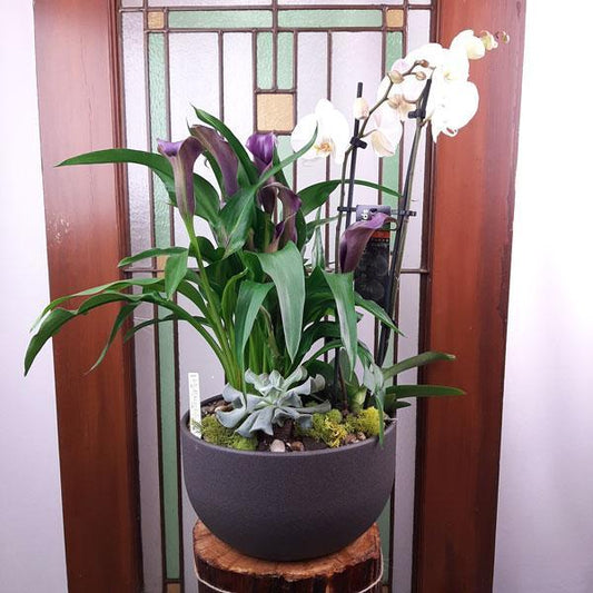 Custom Design  Planter Garden - 2 (Orchid, Calla Lillies, Succulent)
