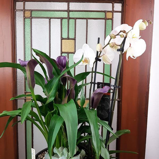 Custom Design  Planter Garden - 2 (Orchid, Calla Lillies, Succulent)