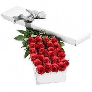 Valentine Two Dozen Boxed Roses (Red, Pink, Rainbow, Blue, Purple, Mixed, White, Yellow)