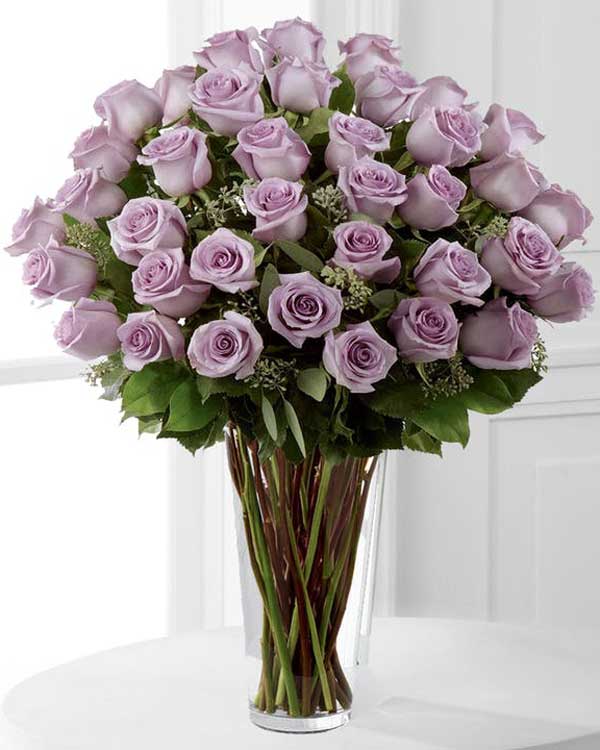THREE DOZEN LAVENDER (PURPLE) ROSE BOUQUET