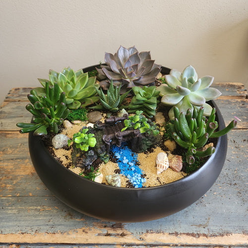 Custom Design Succulent Garden - 1