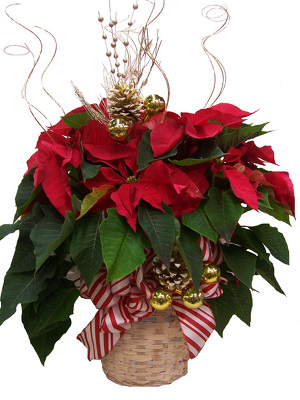 Decorated Red Poinsetta Basket
