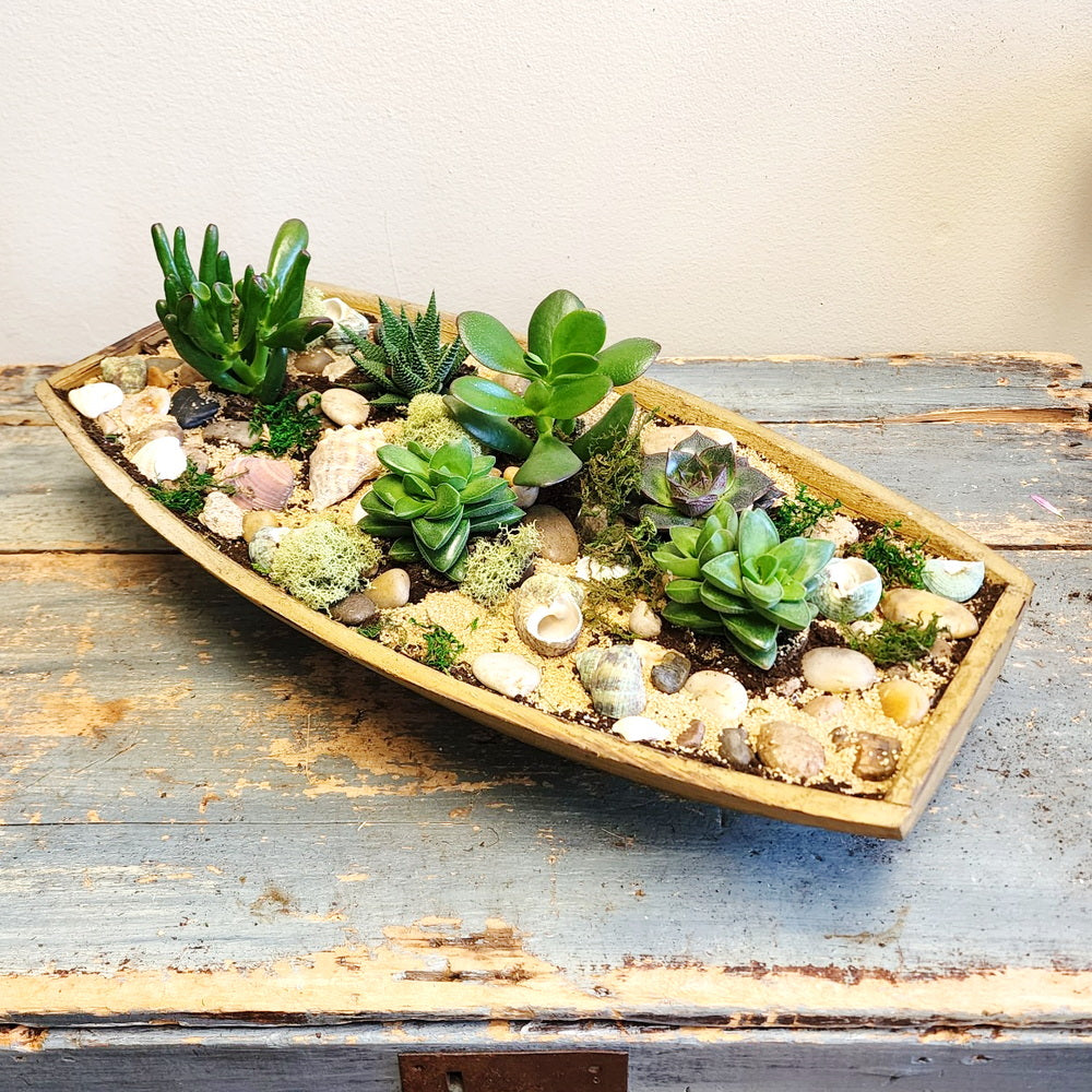 Succulent Garden Boat