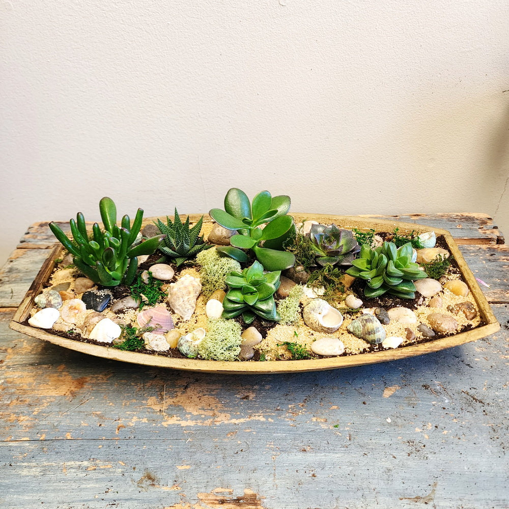 Succulent Garden Boat