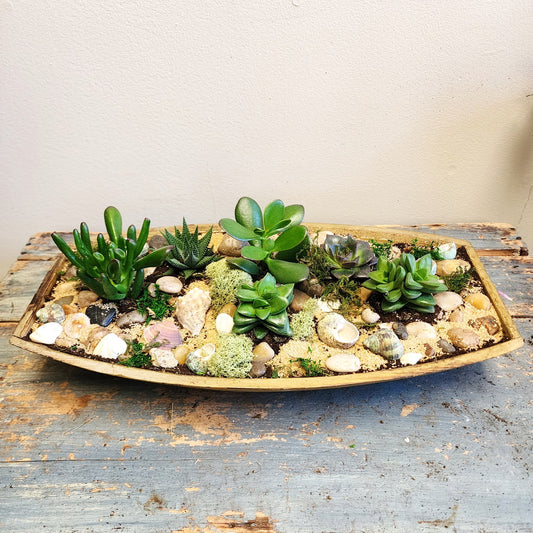 Succulent Garden Boat