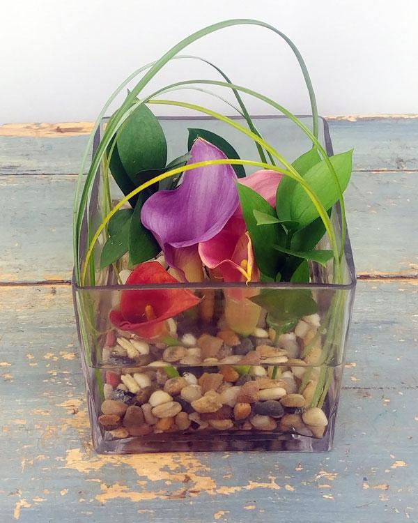 Zen-Transcendence (Desktop Size)