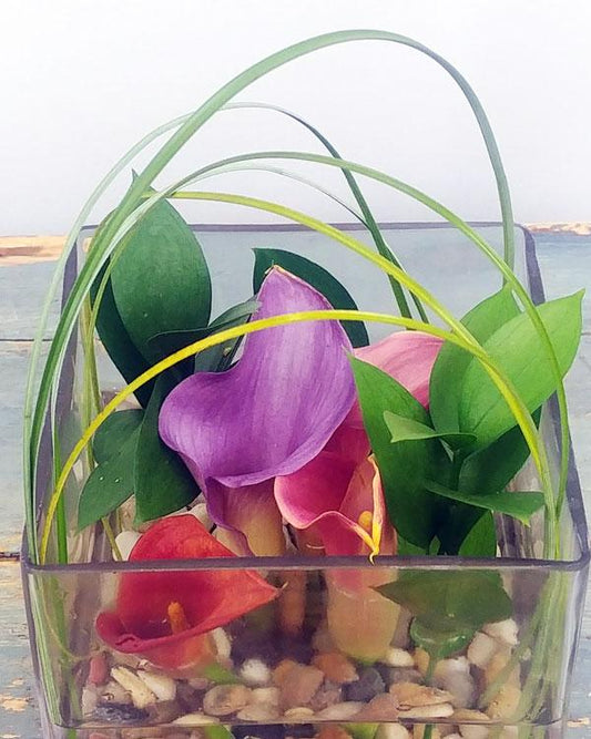 Zen-Transcendence (Desktop Size)