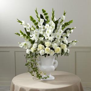 Arrangement - The Fond Reflections??Arrangement J-S2-4983
