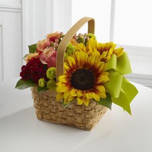 Basket - The Bright Day??Basket J-B4-4338