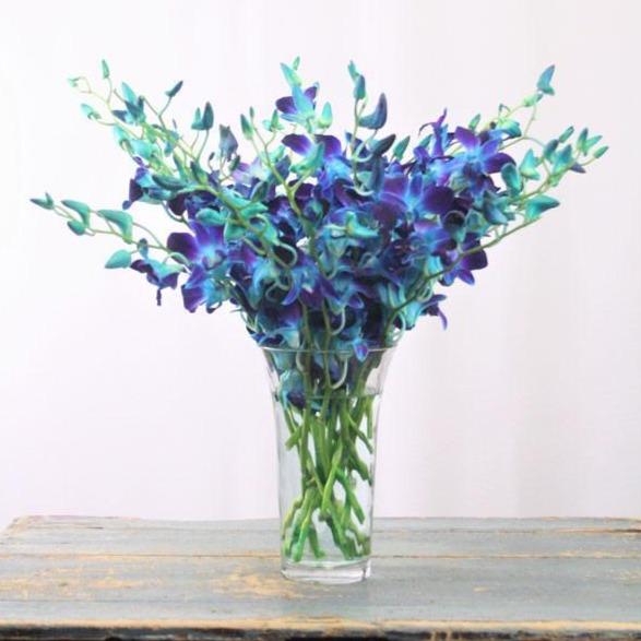 Blue Orchid Bouquet