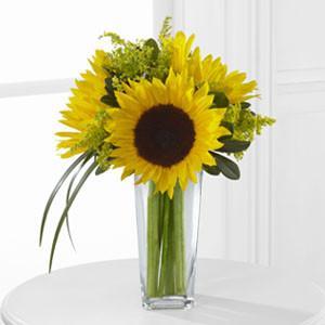 Bouquet - The Sunshine Daydream??Bouquet J-D9-4910