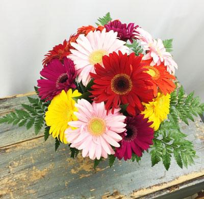 Cheerful Thoughts Bouquet (One dozen Gerberas)