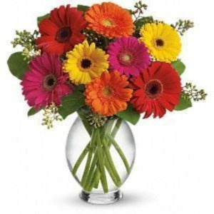 Cheerful Thoughts Bouquet (One dozen Gerberas)