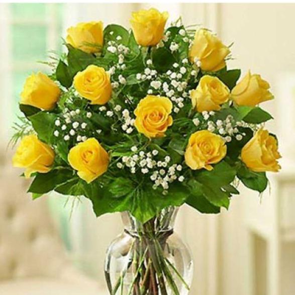 One Dozen Yellow Rose Bouquet (with baby's breath)