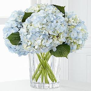 Vera Wang Exclusives - The Joyful Inspirations??Bouquet By Vera Wang J-VW1