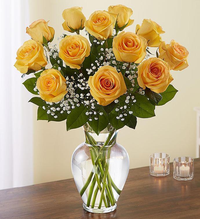 Valentine One Dozen Roses In Vase With Baby's Breath