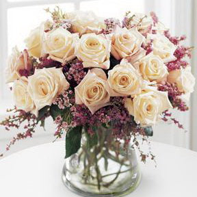 Best Selling Collection