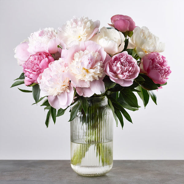 Dozen Peony Arrangement