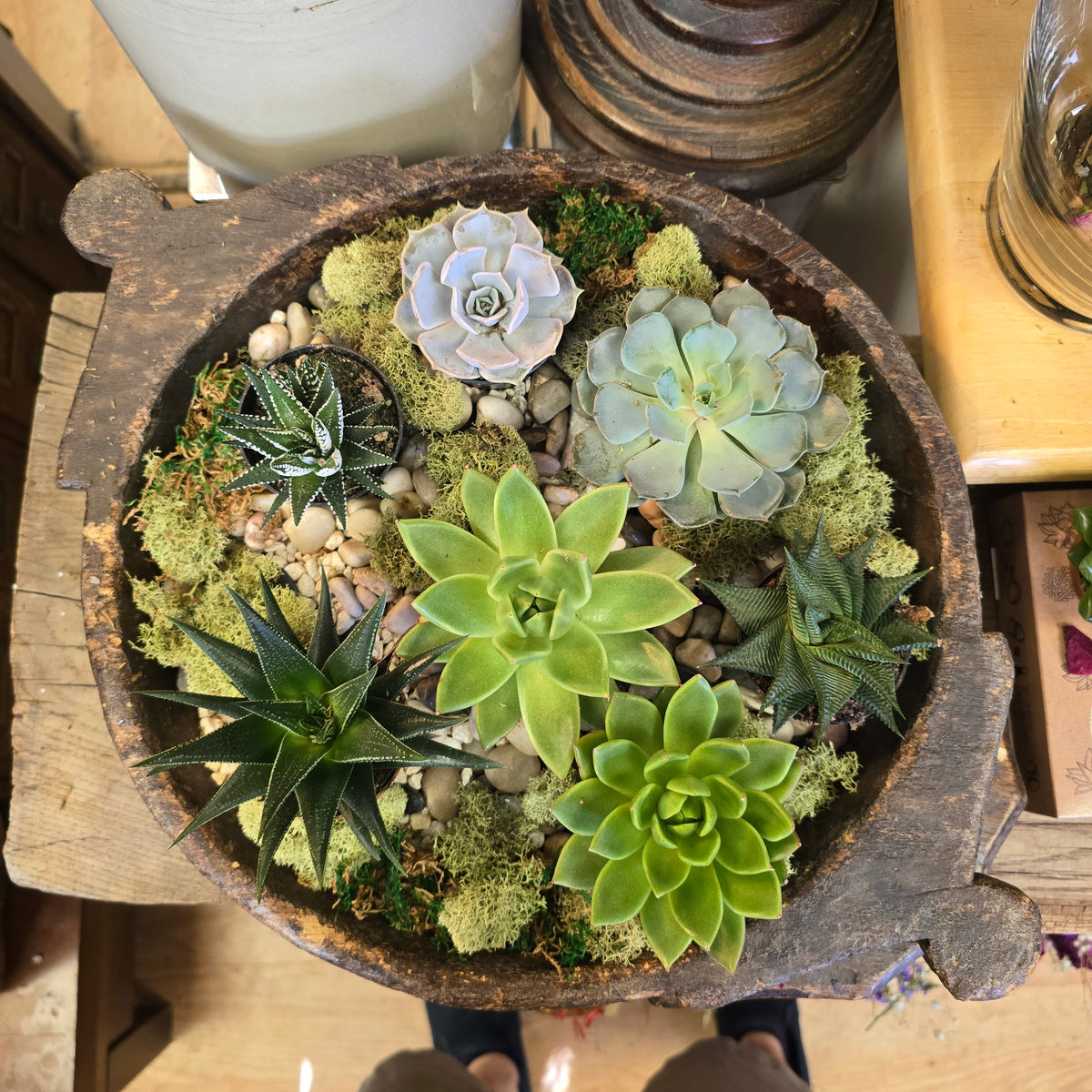Antique Hand-Made Wooden Plate with Succulents