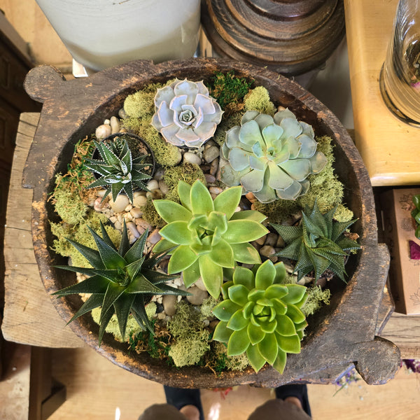 Antique Hand-Made Wooden Plate with Succulents
