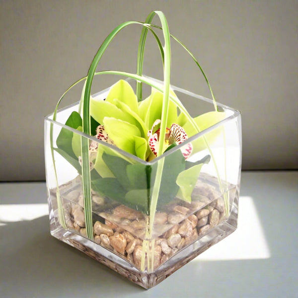 Zen-Tranquility (Desktop Size)