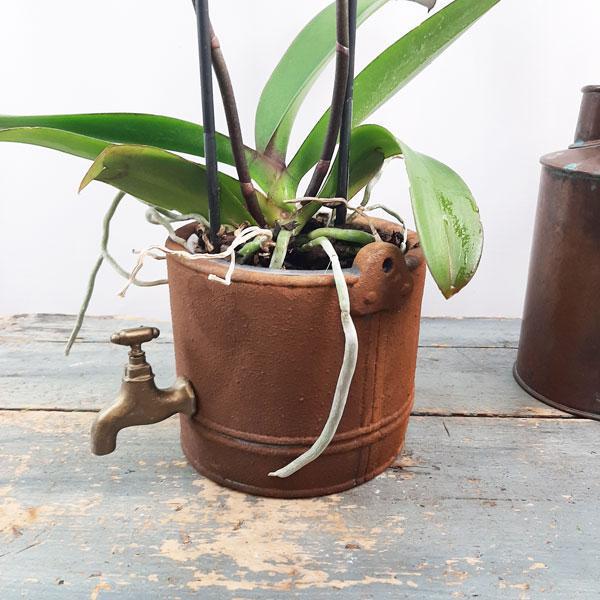 Orchid Garden Planter - 2