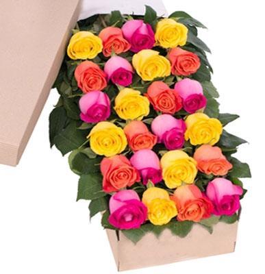 Two Dozen Boxed Roses (Red, Pink, Blue, Purple, Mixed, White, Yellow)