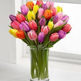 Valentine The Bright Spring Bouquet (20 fresh cut tulips)