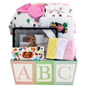 ABC Baby Girl Gift Basket