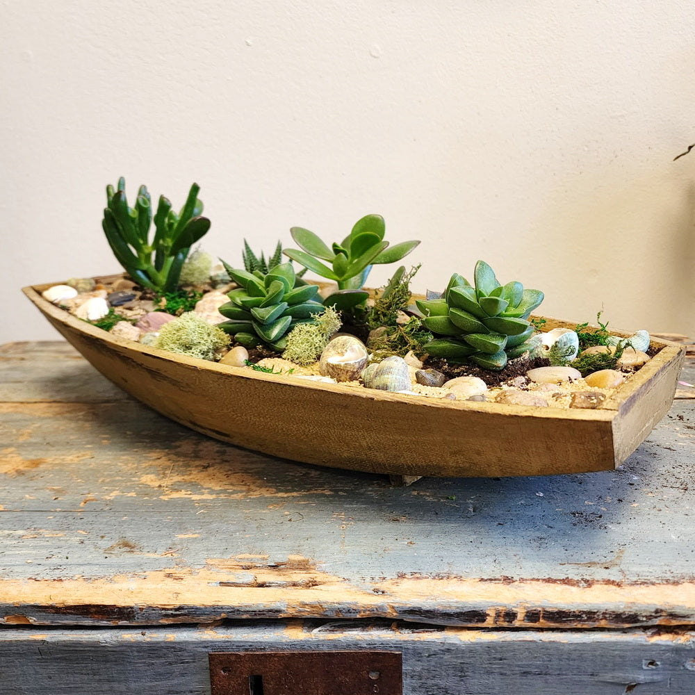 Succulent Garden Boat