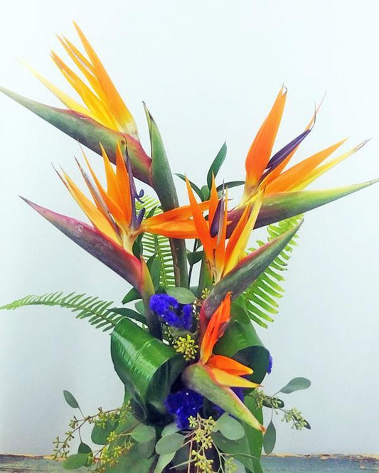 TROPICAL CELEBRATIONS BOUQUET