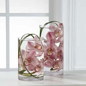 Arrangement - The Tranquil??Orchid Arrangement J-B29-4391