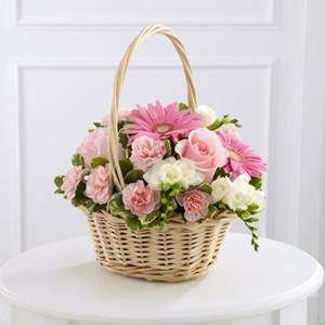 Basket - The Enduring Peace??Basket J-S47-4553