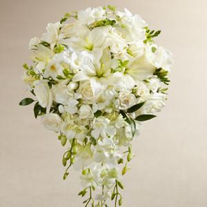Bouquet - The White Wonders??Bouquet J-W7-4633