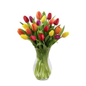 Valentine The Bright Spring Bouquet (20 fresh cut tulips)